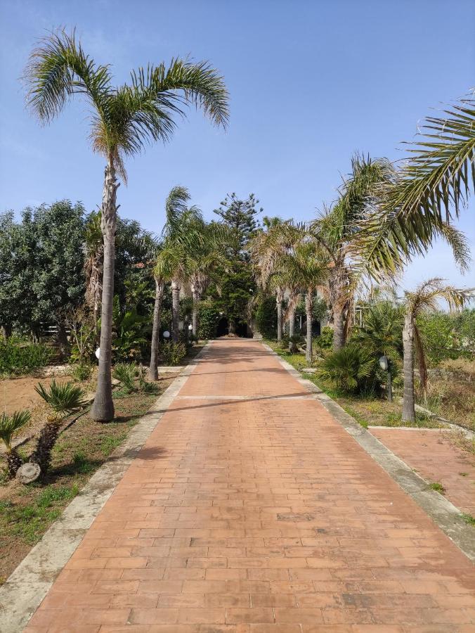 La Casa Delle Palme * Cava dʼAliga